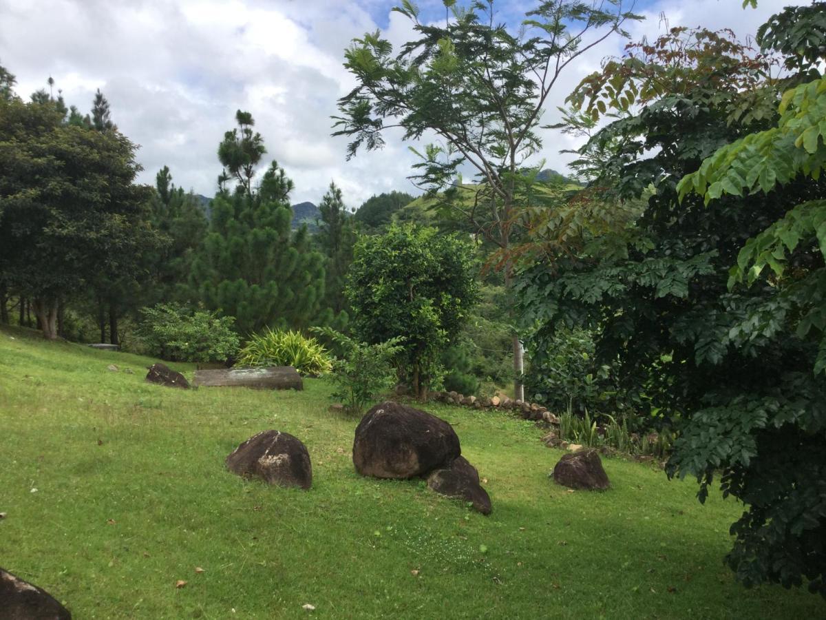 Hawk'S Nest Bed & Breakfast La Laguna de San Carlos Exterior photo
