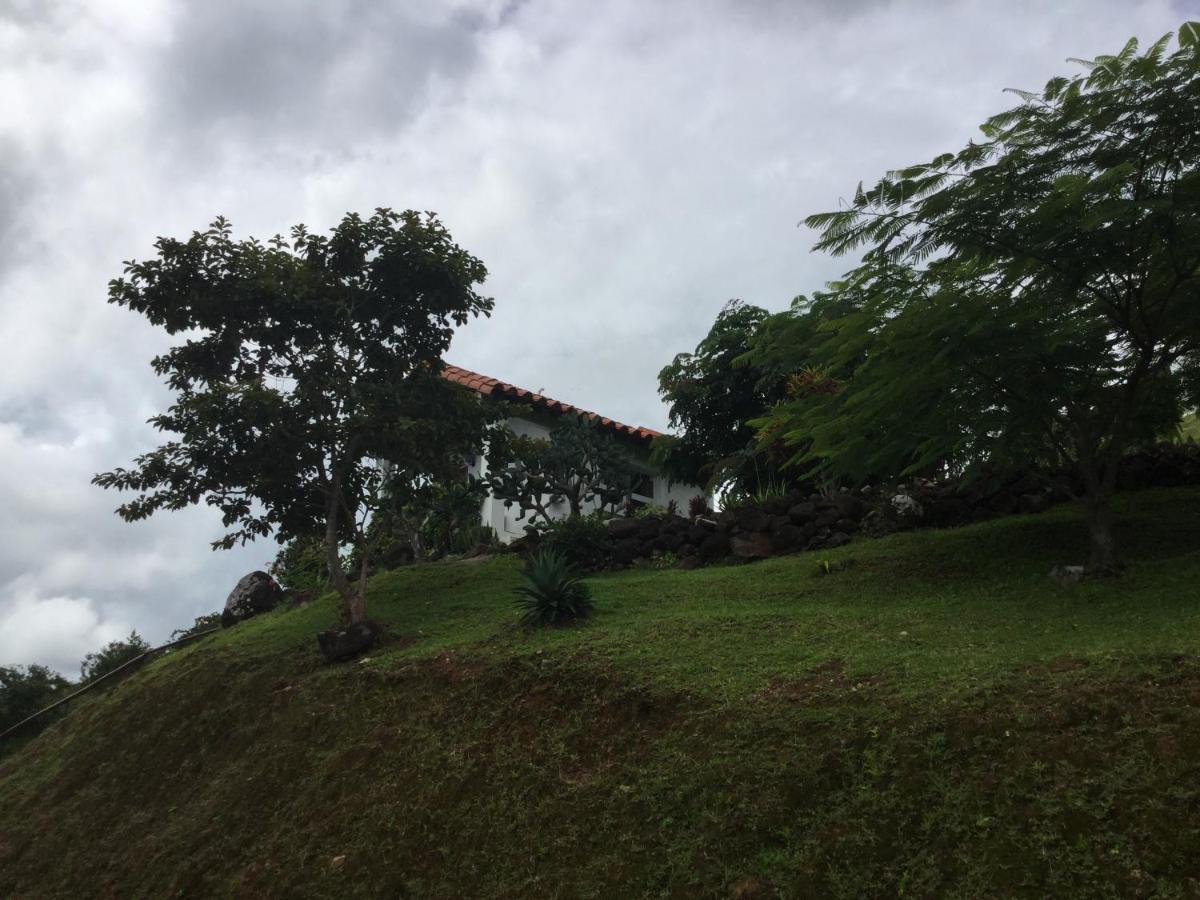 Hawk'S Nest Bed & Breakfast La Laguna de San Carlos Exterior photo