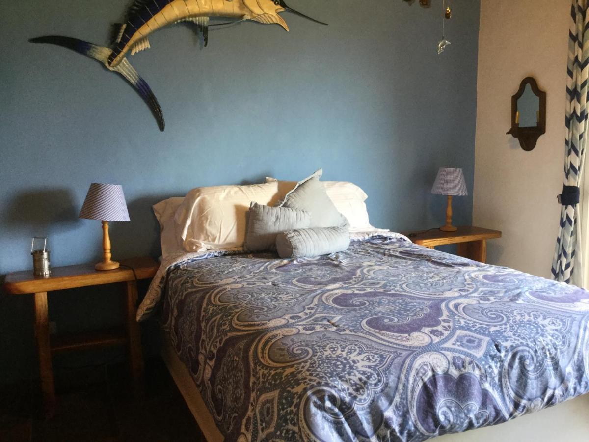 Hawk'S Nest Bed & Breakfast La Laguna de San Carlos Exterior photo