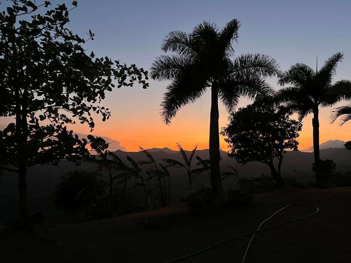 Hawk'S Nest Bed & Breakfast La Laguna de San Carlos Exterior photo