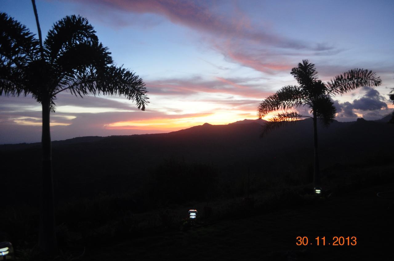 Hawk'S Nest Bed & Breakfast La Laguna de San Carlos Exterior photo