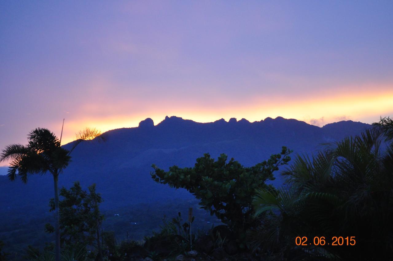 Hawk'S Nest Bed & Breakfast La Laguna de San Carlos Exterior photo